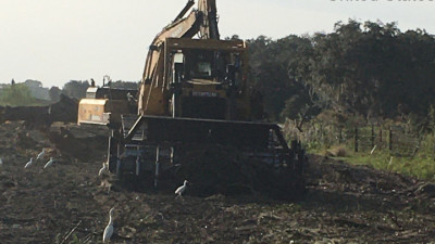 Clearing for future roadway --- January 2020