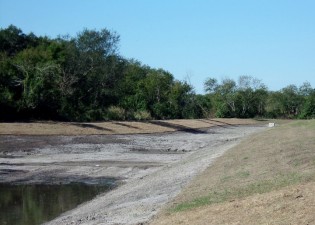 SR 60 (Adamo Drive) Reconstruction Project - Drainage Pond