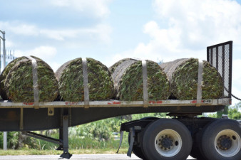 Sod delivery for placement on the northbound I-275 slopes at SR 60 (July 2, 2020 photo)