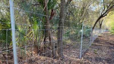 Installation of Wildlife Fencing - February 2021