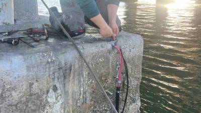 I-275 (Sunshine Skyway Bridge) Routine Bridge Maintenance (November 2025)