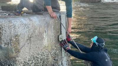 I-275 (Sunshine Skyway Bridge) Routine Bridge Maintenance (November 2025)