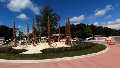 Installation of landscaping at the US 98 / Trilby Road roundabout (August 14, 2020 photo).