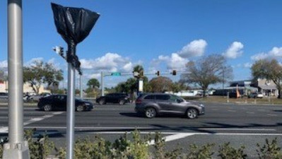 New pedestrian pole at US 19 and ALT US 19 - February 2021