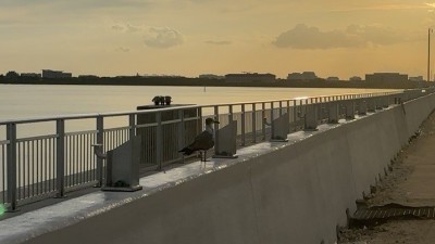 I-275 Causeway Seawall and Trail from Reo St to Howard Frankland Bridge (July 2025)