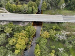 Looking at the existing US 301 bridge over the Withlacoochee River (10-15-2025 photo)