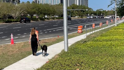 SR 616 (Boy Scout Boulevard) at Lois Avenue Intersection Improvements (March 2023)