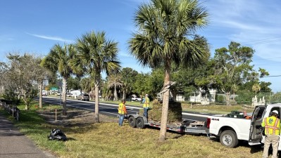 Sod placement along Alt US 19 (Bayshore Boulevard) (June 2026 photo)